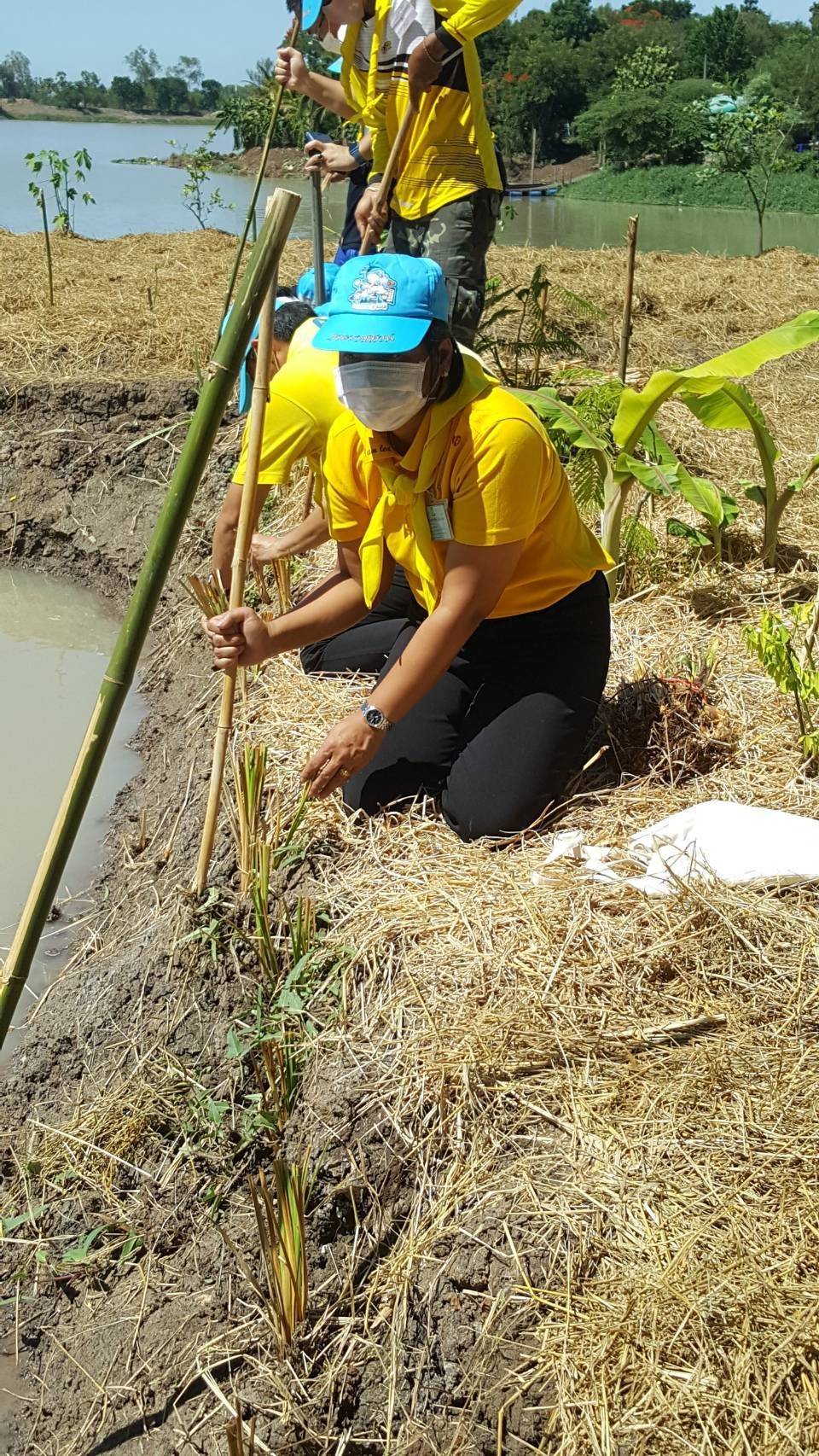 ﻿สำนักงานบังคับคดีกลุ่มจังหวัดที่ 1 (Sandbox) เข้าร่วมโครงการจิตอาสา “เราทำความดี เพื่อชาติ ศาสน์ กษัตริย์” เพื่อถวายพระราชกุศล สมเด็จพระนางเจ้าสุทิดา พัชรสุธาพิมลลักษณ พระบรมราชินี เนื่องในวันเฉลิมพระ